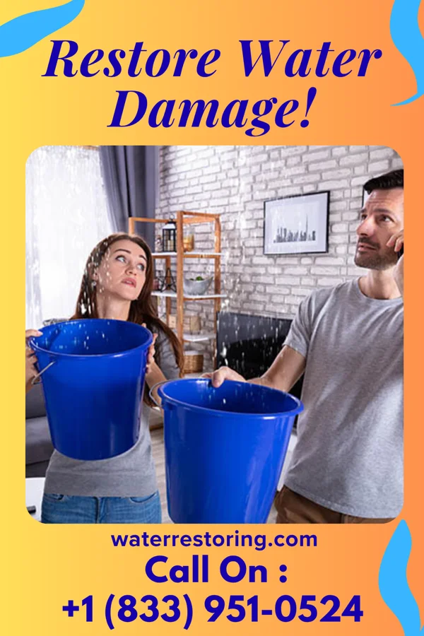 water restoration Quality Cleanup Professionals Kenton Vale