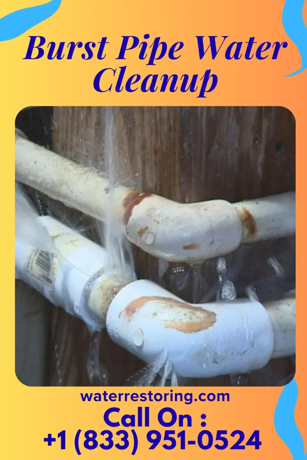 Burst Pipe Water Cleanup in Kenton Vale, KY