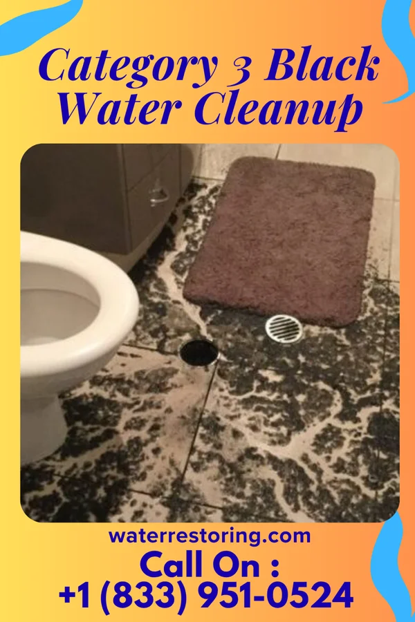 Category 3 Black Water Cleanup in Kenton Vale, KY