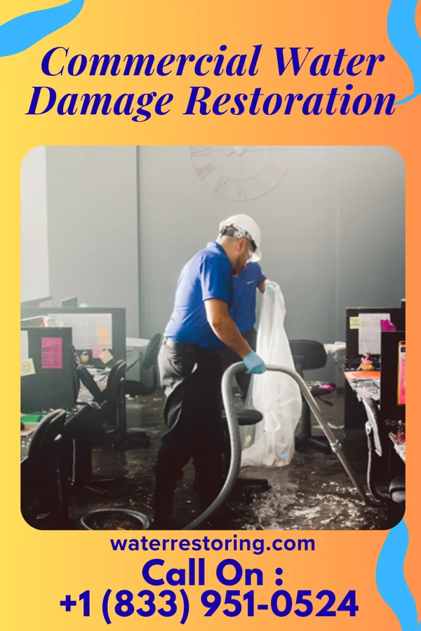 Commercial Water Damage Restoration in Kenton Vale, KY