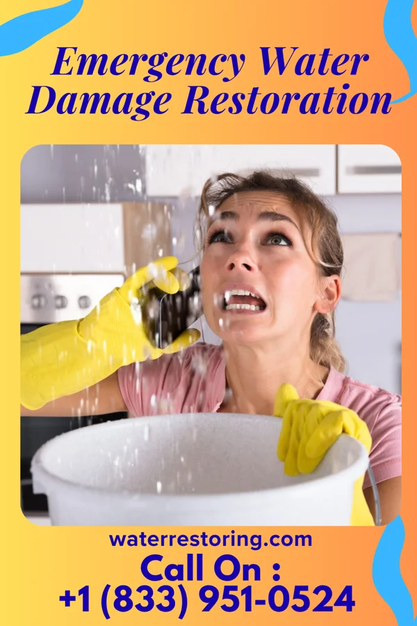 Emergency Water Damage Restoration in Kenton Vale, KY