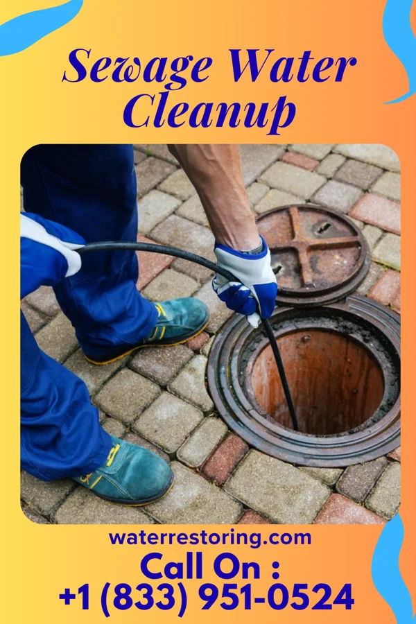 Sewage Water Cleanup in Kenton Vale, KY